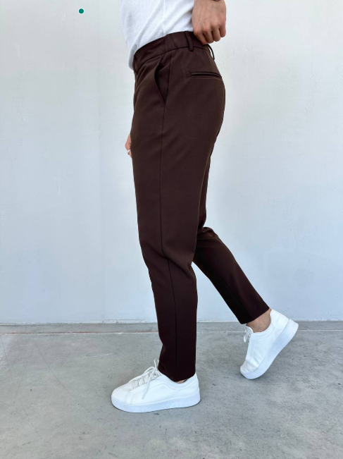 Mens Modern/Fitted Casual Brown Pants